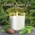 Fraser Fir Candles Winter Candle - 8 oz Holiday Candle Gifts Holiday Candles - Winter Candles Scented - Soy Candles for Home - Sweet Pine Candle - Scented Candle Gift New Year Candles for Women
