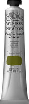 Winsor & Newton Professional Acrylic Color Paint, 200ml Tube, Olive Green