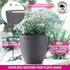 Gardenix Decor 7'' Self Watering planters for Indoor Plants - Flower Pot with Water Level Indicator for Plants, Grow Tracking Tool - Self Watering Planter Plant Pot-Coco Coir - Gray 1 Pack