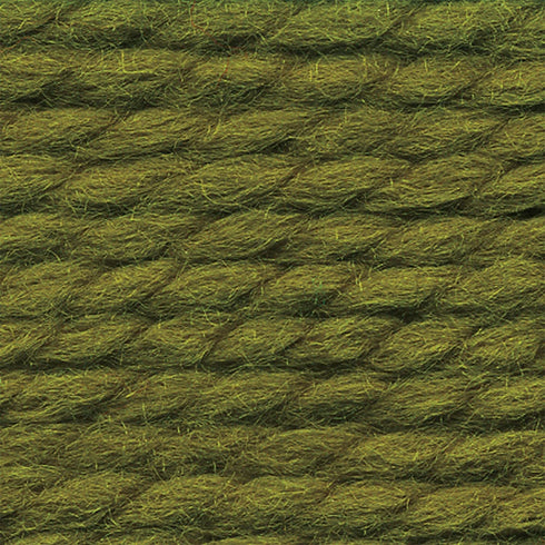 Lion 640-178F Wool-Ease Thick & Quick Yarn , 97 Meters, Cilantro