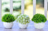 Mini Artificial Plants | Modern Farmhouse Plants Home Decor | Small Fake Plants | Office/Kitchen/Bathroom/Bedroom/Mantle/Shelf/Living Room/Table Decoration Faux Plant Set