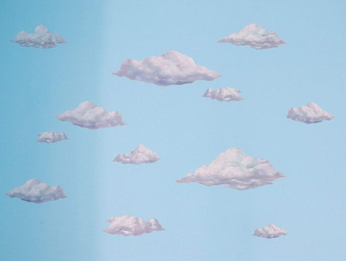 Create-A-Mural Sky Cloud Wall Decals Beautiful Cloud Wall Stickers Girls Wall Art Stickers for Bedroom Peel and Stick Kids Room Decor Nursery Toddler Teen Decorations Playroom Birthday Gift