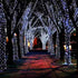 YIQU White Extra-Long 2-Pack Each 72ft 200 LED Solar String Lights Outdoor, Waterproof Green Wire 8 Lighting Modes Solar Christmas Lights for Garden Patio Tree Party Wedding Decorations (Cool White)