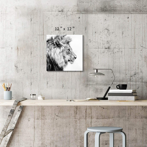 Hardy Gallery Lion Art Wall Decor Picture: Wildlife Portrait Graphic Artwork Print Painting on Wrapped Canvas (12''x12'')