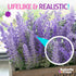Butterfly Craze Artificial Lavender Plants in White Box Pots (Set of Two) Rustic Home Decor and Beautiful Lifelike Faux Silk Flower Arrangements for Kitchen, Office, Weddings & Beyond - White Boxes