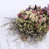 HUAESIN Natural Dried Flowers Bouquet Dried Cotton Stem Lover Grass Gypsophila Myosotis Sylvatica Farmhouse Artificial Flowers for Filler Floral Arrangement DIY Home Party Decor