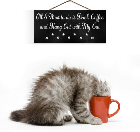 JennyGems Funny Cat Gifts, All I Want To Do Is Drink Coffee Hang Out With My Cat, 6x13 Hanging Wood Sign, Cat Lovers Gifts, Cat Mom Gifts, Gift for Cat and Coffee Lovers, American Made