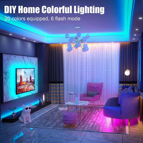 Led Strip Lights 65.6ft, GOADROM Ultra Long 5050 RGB Flexible Led Lights Color Changing Light Strips with 44 Keys IR Remote Control for Home, Bedroom, Kitchen, DIY Modes(2 Rolls of 32.8ft)