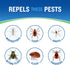 Cutter Skinsations Insect Repellent Pump Spray