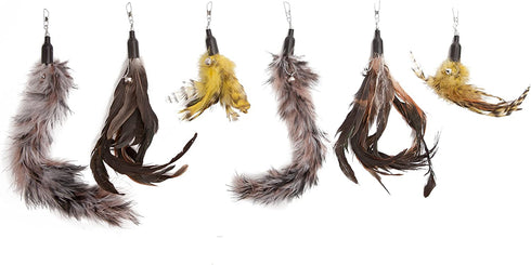 The Natural Pet Company Cat Toys Feather Refill 6 Pack - Add Life to Your Cat's Favorite Toy with This Interchangeable Feather Refill Multipack (As Photographed).