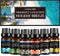 Fragrance Essential Oil - Organic 6pc Holiday Breeze Scent Gift Set - Perfect for Candle Making, Soap Scents, Slime - Oils for Diffuser, Humidifier, Aromatherapy, Aroma Beads, Car Freshener (10mL)