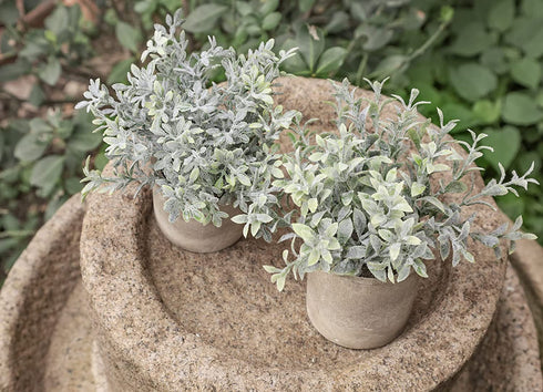 Der Rose 6pcs Mini Fake Plants Artificial Potted Plants Desk Plants for Home Office Farmhouse Bathroom Bedroom Decor