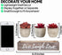 3 Red Decor Fake Plant Decor Succulents Plants Artificial for Office Decor Grey - Faux Succulents in Pots Cute Desk Decor Women - Small Fake Plants Bedroom Aesthetic Accessories - Potted Mini Cactus