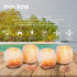 Mockins 2.5 lbs 4 Pack Natural Himalayan Salt Tea Light Candles Holder | Great Room Decor