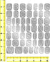 Rhinestone Genie RT2-ARI002 Embellishment Template, Arial 002
