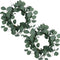 idyllic Eucalyptus Leaves Wreath Metal Polyester Fabric Paper Round Green Wreath 14 Inches for The Front Door D©cor, 2 Packs