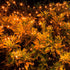Joomer Orange Christmas Net Lights,12ft x 5ft 360 LED 8 Modes Adapter Bush Lights Connectable Mesh Netting Lights for Christmas Trees, Bushes, Wedding, Garden, Outdoor Decorations,Green Wire