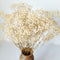 Dried-Babys-Breath-Flowers-Bouquet-17 inch 1500+ Ivory White Flowers, Natural Gypsophila Branches for Wedding, DIY Home Party Decor, Table Vase Decor for Parents, Friend, Children (White)