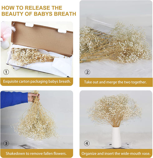 Dried-Babys-Breath-Flowers-Bouquet-17 inch 1500+ Ivory White Flowers, Natural Gypsophila Branches for Wedding, DIY Home Party Decor, Table Vase Decor for Parents, Friend, Children (White)