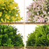 FOURBF 4 Packs Artificial Mini Potted Plants Plastic Faux Topiary Shrubs Fake Plant Flower for Room Office Desk Decoration