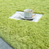 junovo Ultra Soft Area Rugs, Fluffy Carpets for Bedroom Kids Girls Boys Baby Living Room Shaggy Floor Nursery Rug Home Decor Mats, 3 x 5ft Green
