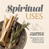 Palo Santo Sticks (20 Pack) ” 100% Natural, High Resin Smudging Sticks from Peru ” Wild Harvested, Sustainably Hand Picked