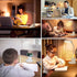 Battery Operated Desk Lamp LED Rechargeable White Desk Lamps Dimmable, Golspark Touch Control 360°Flexible Dorm Reading Lamp for Students-3 Color Modes with Pen Holder Phone Stand
