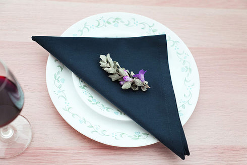 AMOUR INFINI Cotton Napkins | 12 Pack | 18 x 18 Inch | 100% Ring Spun Premium Cotton | Perfect for Restaurants, Events and Dinner Napkins | Highly Absorbent Cloth Napkins | Blue