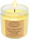 Rita Margarita - Lime Margarita Fragrance - Decorated with Salt - Large Soy Candle in a Kraft Box