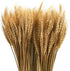 yarlung 300 Stems 16 Inch Dried Wheat Sheaves, Natural Wheat Stalks Bundle Fall Arrangement for DIY Craft, Home Table, Wedding