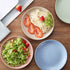 shopwithgreen 10 Inch Wheat Straw Deep Dinner Plates, Unbreakable Sturdy Plastic Dinner Plates, Microwave and Dishwasher Safe