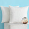 MIULEE Throw Pillow Inserts, Set of 2 Down and Feather Cotton Decorative Pillows, Square Sham Stuffer for Sofa Couch Cushion Living Room 16x16 Inches