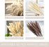 Dried Pampas Grass Decor Vase Home Design Arrangements,Natural Pompous Grass Plants Fluffy Artificial Faux Reed Flower Stems Bunch for Wedding Door Wreath Boho Living Room Decoration (60PCS)