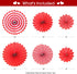 NAIWOXI Valentines Party Supplies - Valentines Day Decorations Set, Red Silk Rose Petals, Paper Fans, Heart Shaped, I Love You and Teddy Bear Balloons, Garland Balloons Kit For Valentines Day Party