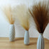Faux Pampas Grass - Pampas Grass Decor - 17 Inch Dried Pampas Grass Small - Artificial Pompous Grass Branches Decor (6)