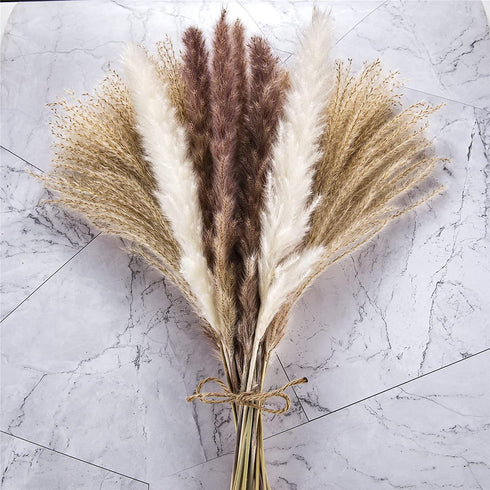 ManYmbyan Natural Dried Pampas Grass 65pcs 15pcs White&15pcs Brown&35pcs Reed Grass Plumes Decor Flower Arrangement and Vase Fillings