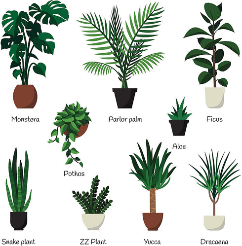 Indoor Plant Food | All-purpose House Plant Fertilizer | Liquid Common Houseplant Fertilizers for Potted Planting Soil | by Aquatic Arts