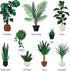 Indoor Plant Food | All-purpose House Plant Fertilizer | Liquid Common Houseplant Fertilizers for Potted Planting Soil | by Aquatic Arts
