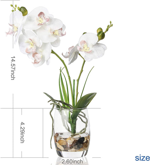 Jusdreen Artificial Flower Bonsai with Glass Vase Vivid Orchid Flowers Arrangement Phalaenopsis Flowers Pot for Home Office D©cor House Decorations(Glass Vase/White Orchid)