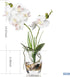 Jusdreen Artificial Flower Bonsai with Glass Vase Vivid Orchid Flowers Arrangement Phalaenopsis Flowers Pot for Home Office D©cor House Decorations(Glass Vase/White Orchid)