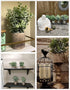Blingstar Fake Plants 4 Pack Small Artificial Plants Mini Faux Eucalyptus Boxwood Greenery in Pots Little Potted Plant Decor for Bathroom Shelf Home Office Desk Table Centerpiece