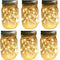 Outdoor Solar Powered Mason Jar Lights 6 Pack Waterproof 30 Mini LED Fairy Star Firefly Garden Table Decorations Patio Lighting Decor Lanterns Backyard Tree Hanging Lawn Porch Decorative Warm White