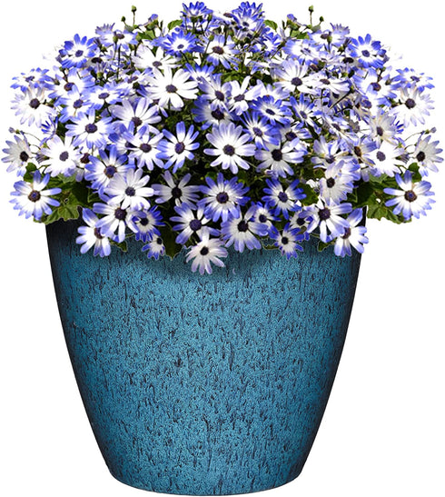 Classic Home and Garden 807-375R Premiere Collection Planter, Vogue 8", Indigo