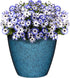 Classic Home and Garden 807-375R Premiere Collection Planter, Vogue 8", Indigo