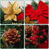 FUNARTY 22 Inches Christmas Wreath with Lights Poinsettia Golden Berries and Bowknot for Front Door Winter Christmas Indoor Outdoor Holiday Decor
