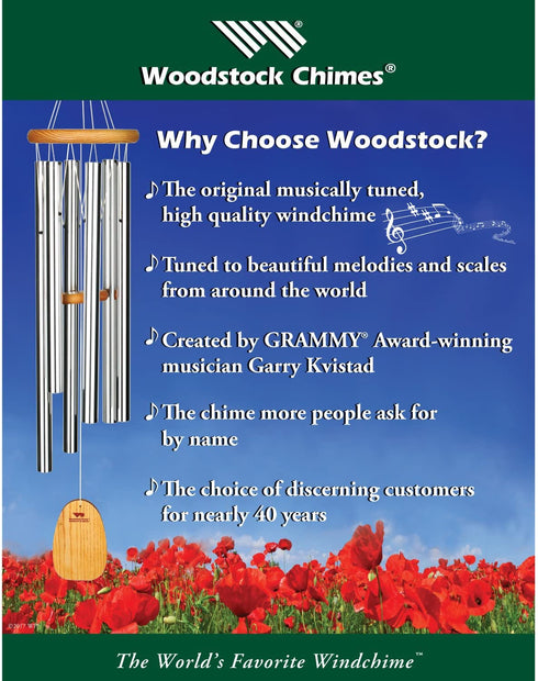 Woodstock Chimes Home of The Original Guaranteed Musically Tuned Wind Zenergy Hand Chime for Classrooms Meditation Mindfulness and More, Solo
