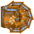Drizzilicious Birthday Cake 10 Pack | Mini Snack Chocolatey Rice Cakes | Vegan Air Popped Chia, Quinoa, Flax Snacks
