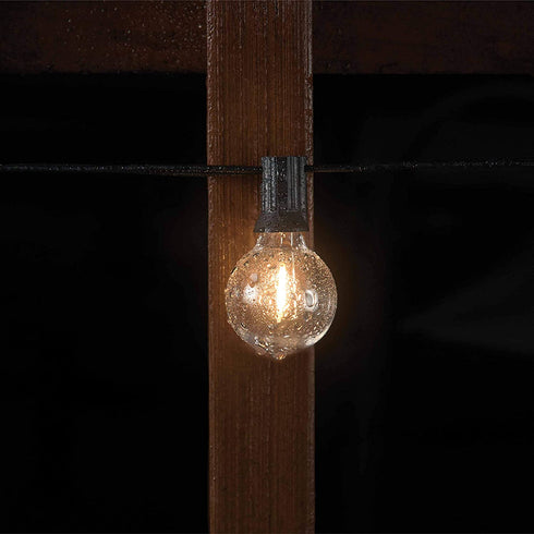 Mr Beams 1W G40 Globe Bulb LED Weatherproof Indoor/Outdoor String Lights, 25 ft, Black