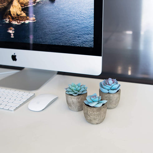 Set of 3 Succulents Plants Artificial Plants Home Decor Indoor Fake Plants Bedroom Aesthetic, Small Fake Plants Living Room Decor Office Desk Decor Women Fake Plant Decor Bathroom Shelf Decor