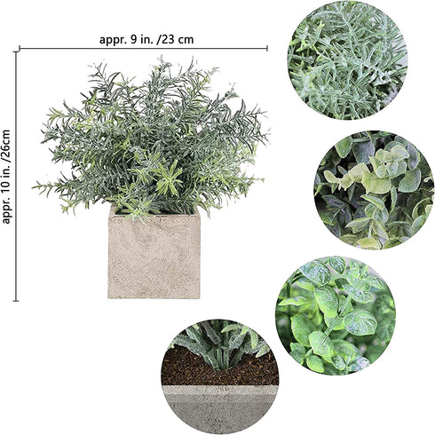 Auelife Artificial Plants 3PCS 9-10IN Mini Potted Plants, Fake Eucalyptus / Glossy Grass / Pale Grass Plants (Square Pot) Faux Lifelike Flower Greenery Decor for Home Office Farmhouse Bathroom